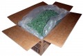 Cadbury Fresha Spearmint Leaves (Our main image of this Confectionery)