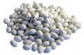 Almond Alien Eggs (Our main image of this Confectionery)