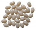 Mini Jelly Beans - White with an Lemonaide Flavour (Our main image of this Confectionery)