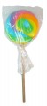 Round Rainbow Lollipop (Our main image of this Confectionery)