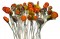 Tall Treats - Funky Fruits (Our main image of this Confectionery)