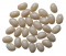 Mini Jelly Beans - White with an Lemonaide Flavour (Our main image of this Confectionery)