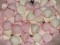 Betta Pink and White Marshmallow Puffs (Our main image of this Confectionery)