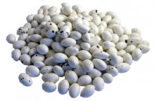 Almond Alien Eggs (Our main image of this Confectionery)