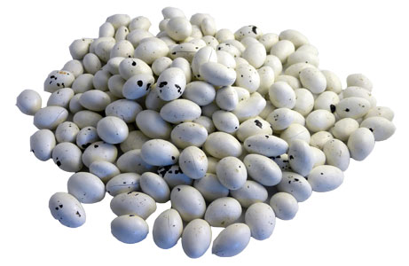 Almond Alien Eggs